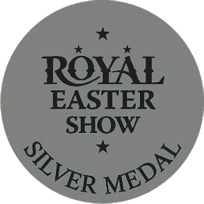 Royal Easter Show 2019 - Silver