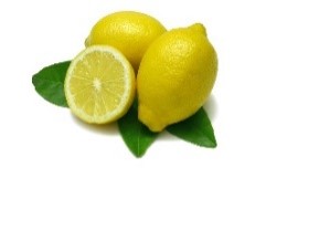 group_lemon.jpg
